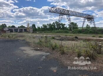 Расчистка и планировка открытой территории ориентировочно 6 000 кв. м.