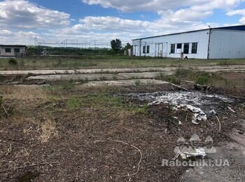 Расчистка и планировка открытой территории ориентировочно 6 000 кв. м.