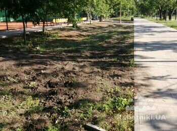 Підготувати клумби до посіву трави і висадці рослин
