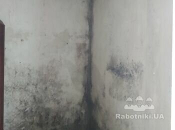 Удалить грибок, Стяжка стен и потолка
