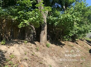 Демонтувати старий деревяний забор 40м та встановити новий
