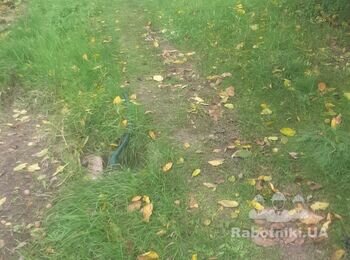 Тротуарная плитка
