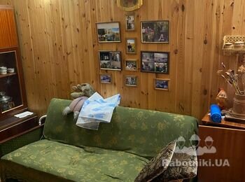 Установка булерьяна и монтаж дымохода + строительные работы