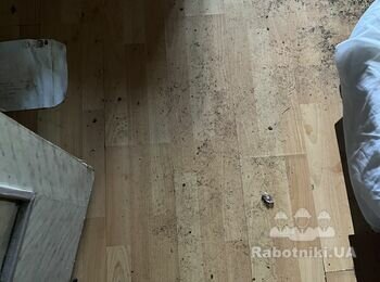 Ремонт квартири під здачу