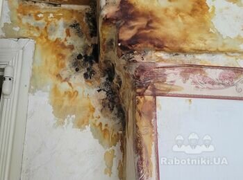 Ремонт крыши. Подтекание около трубы от газового котла