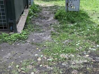 Укладка тротуарной плитки