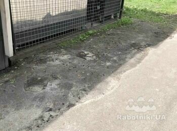 Укладка тротуарной плитки