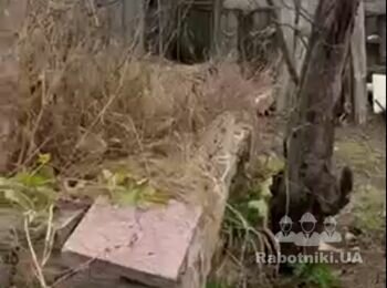 Демонтировать и вывезти 200м2