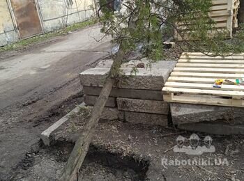 Из Борщаговки, ул. Пшеничная, перевезти деревце.