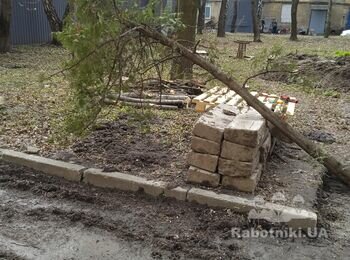 Из Борщаговки, ул. Пшеничная, перевезти деревце.