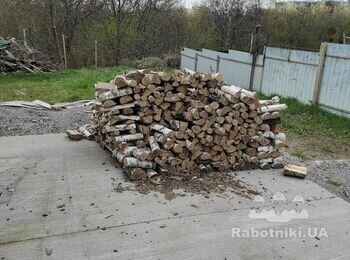 Уборка участка и перенос дров.