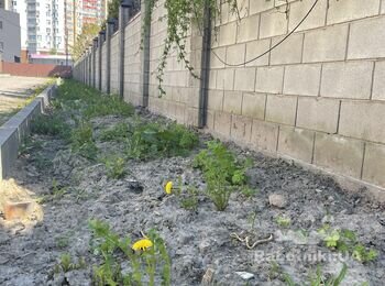 Укладка тротуарной плитки