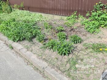Сделать заезд на участок, тротуарная плитка, отмостка