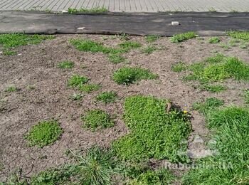 Дорожка с тротуарной плитки