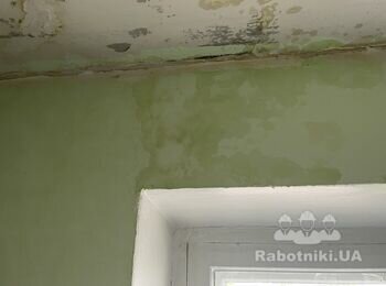 Пофарбувати стіни на кухні після затоплення.