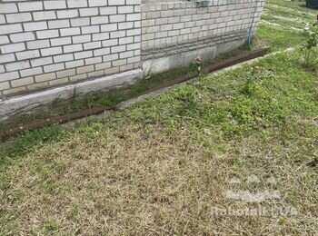 Отмостка ищем специалистов