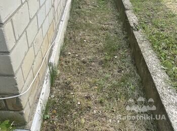 Отмостка ищем специалистов