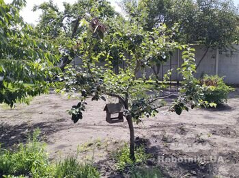 Выполнение ремонтных работ в новострое.