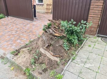 Вивіз сміття, сьогодні або завтра до обіду