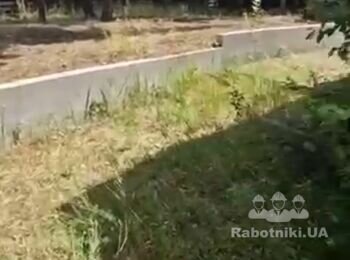 Зробити кострище, сходи та підпірну стінку