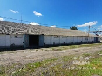 Замена шифера кровли на металопрофильные листы