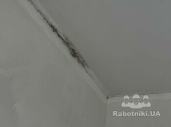 Поклейка шпалер (140м.кв) та багетів, фарбування стелі