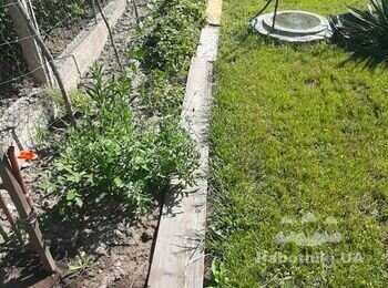 Укладання тротуарної плитки, садова доріжка на дачному участку