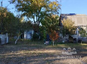 Обрізка верхушки горіха біля будинку