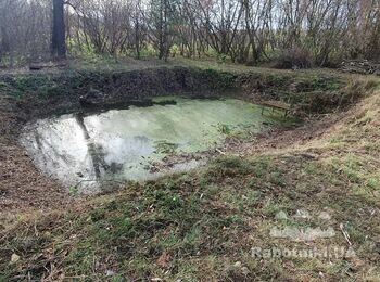 Потрібна послуга поворотного екскаватора для чистки невеличкого озерця