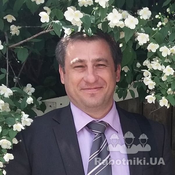 политолог богатырев