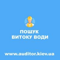 Мастер Микита Санеко