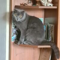 Мастер Олександр Бурдільний