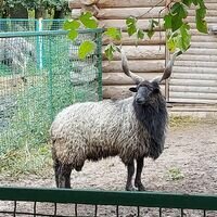 Бригада Бригада Ух