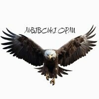 Бригада Львівські Орли