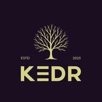 Бригада KEDR