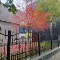 Майстер Юрій Дорошенко