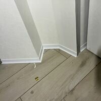 Майстер Олександр Попович