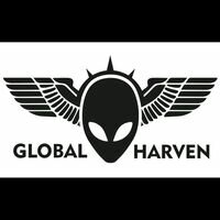 Бригада Global Harven
