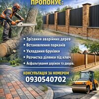 Бригада Ніко-Буд