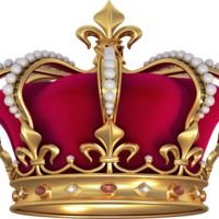 Бригада "SC Royal-Monolit Stroy"