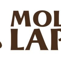 Бригада Mollis Lapis