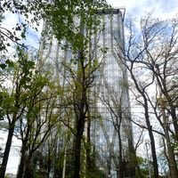 Мастер Андрей Дмитренко