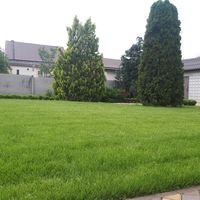 Бригада Iberisландшафтный дизайн