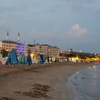 Бригада Bady