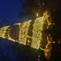 Майстер Лиля Бондарь