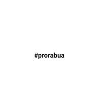 Бригада prorabua