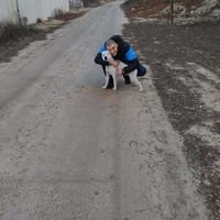 Мастер Георгий Ганжа