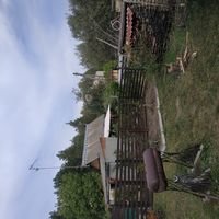 Мастер Дина Павлушенко