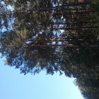 Бригада Будівельників