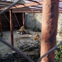 Бригада Бригада